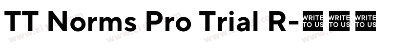 TT Norms Pro Trial R字体转换 TT Norms Pro Trial R字体转换